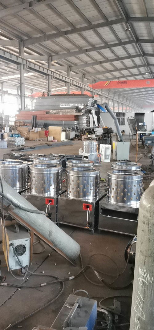 大型商用全自動脫毛機產品介紹與潤滑設備咨詢指南